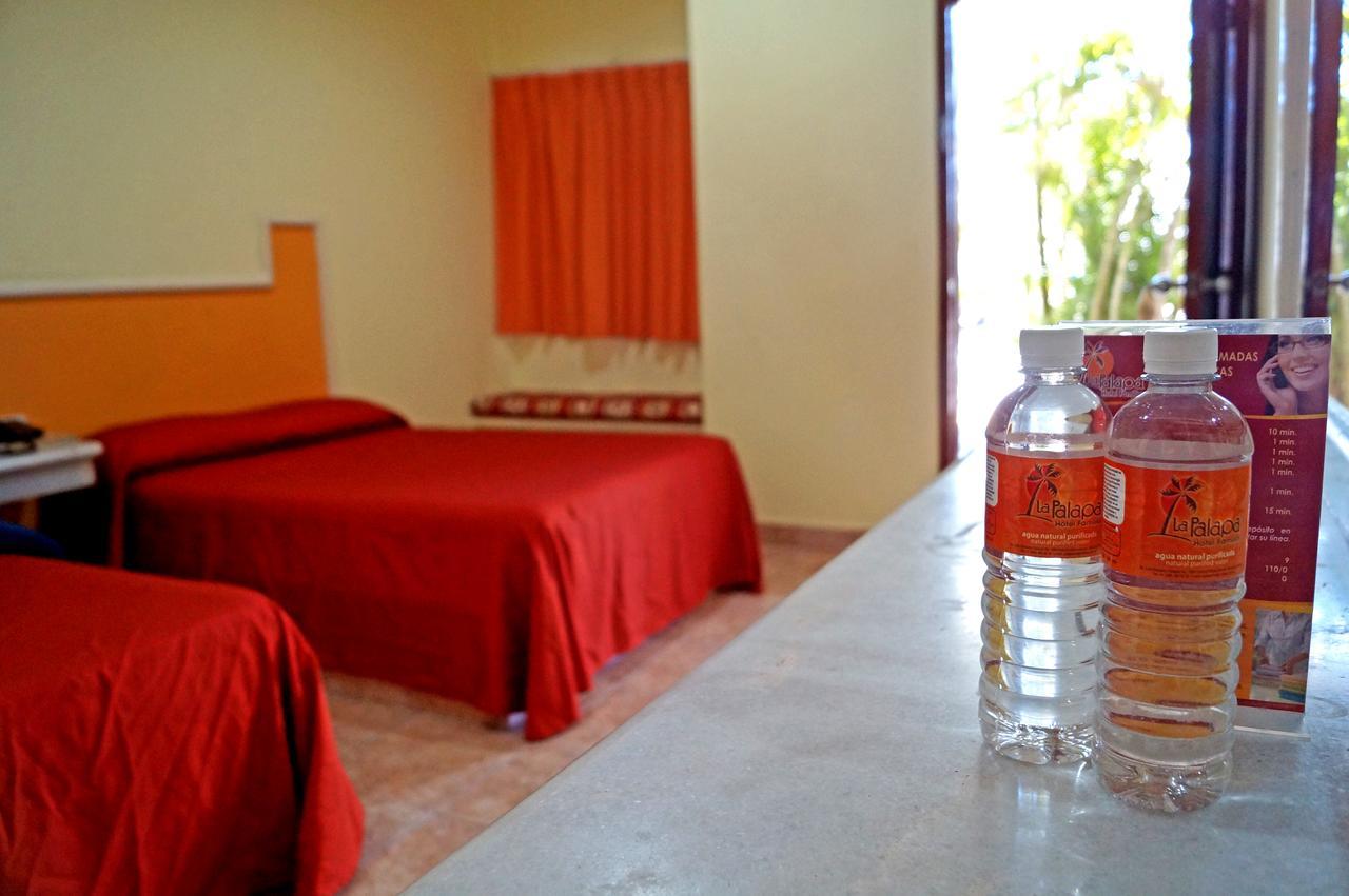 Hotel La Palapa 马萨特兰 外观 照片